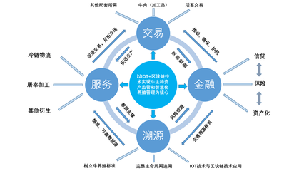 牛票科技集團(tuán)電商“新農(nóng)人”培育孵化基地正式掛牌“百城千企”智播基地，引領(lǐng)企業(yè)供應(yīng)鏈管理信息咨詢服務(wù)新篇章